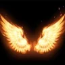 FireWings